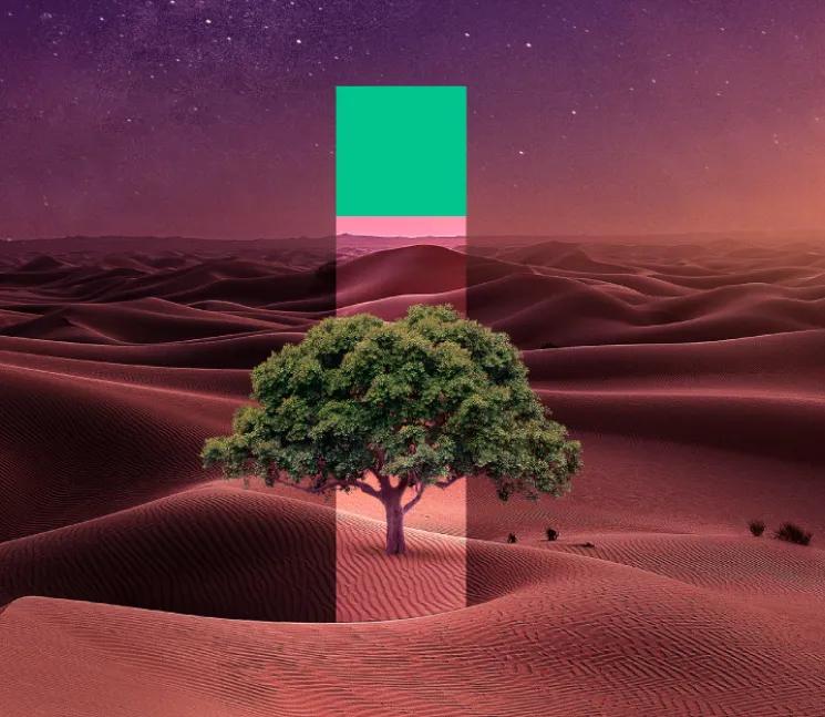 Plant a tree