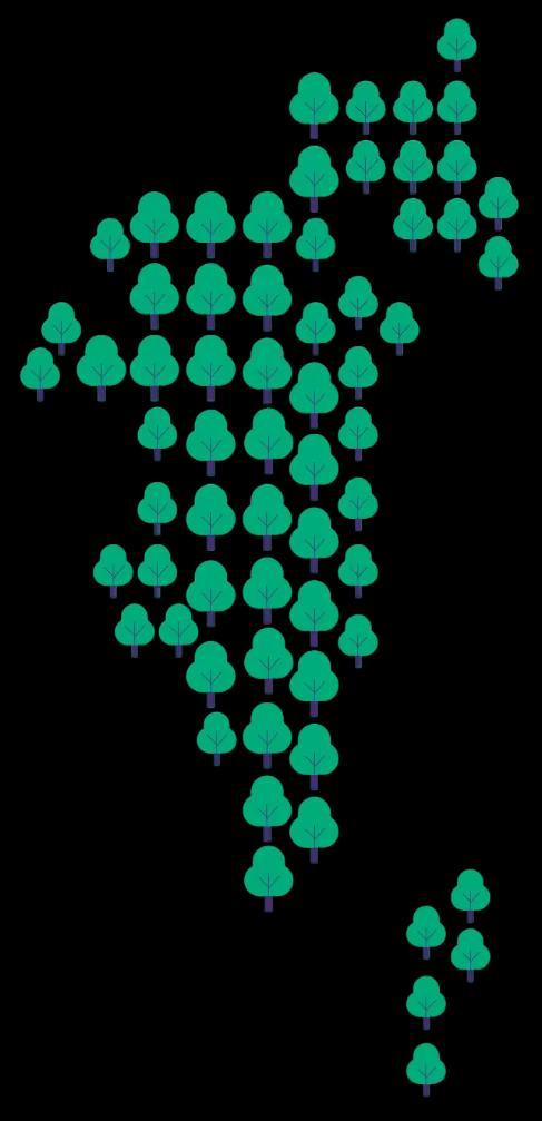 bahrain trees